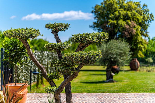 Villa Antea – Gartenbereich